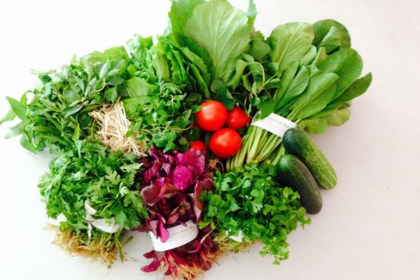 Tìm kiếm nguồn thực phẩm chất lượng